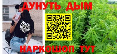 мяу мяу мука Гатчина