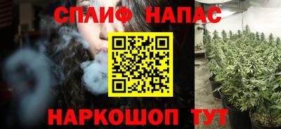 мяу мяу мука Гатчина