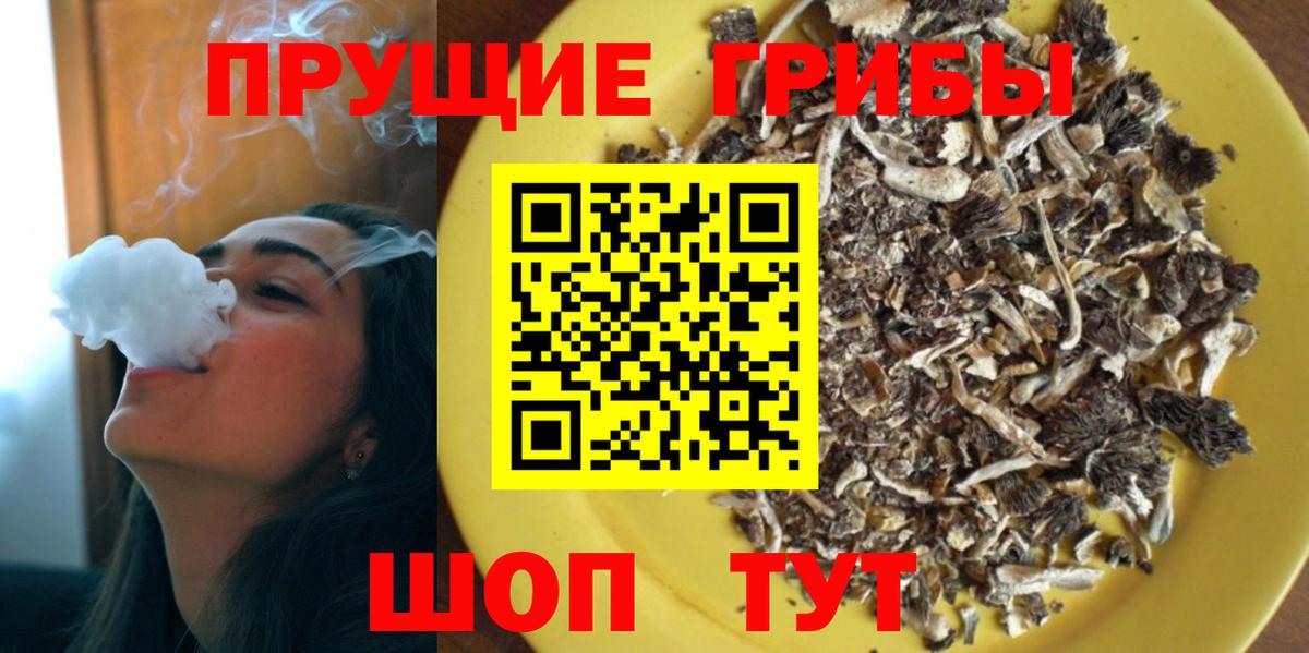 Новодвинск  Псилоцибиновые грибы MAGIC MUSHROOMS  Вход с VPN  Галлюциногенные грибы Psilocybe 