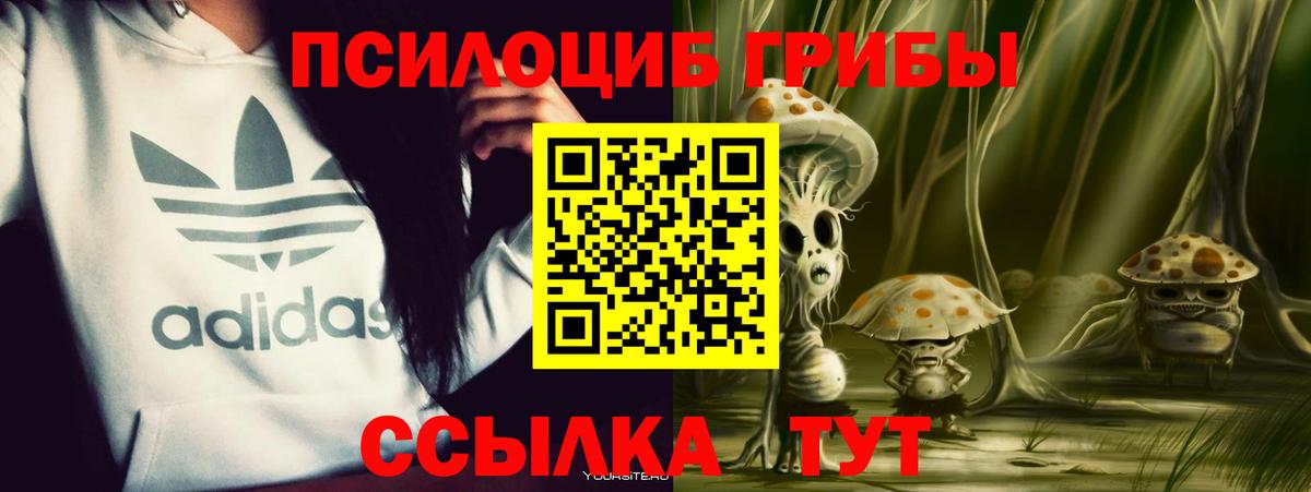 Псилоцибиновые грибы Cubensis Новодвинск